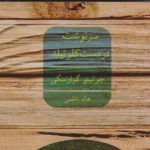 رمان طنز «سرنوشت در دست کلوتیلد» منتشر شد رمان طنز «سرنوشت در دست کلوتیلد» منتشر شد