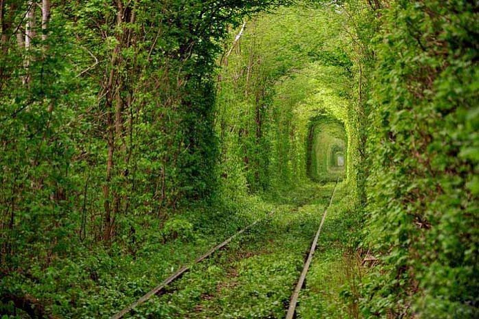 شعر طنز : خواب دیدم که رفته ام به بهشت/سوی رضوان به محضر جانان